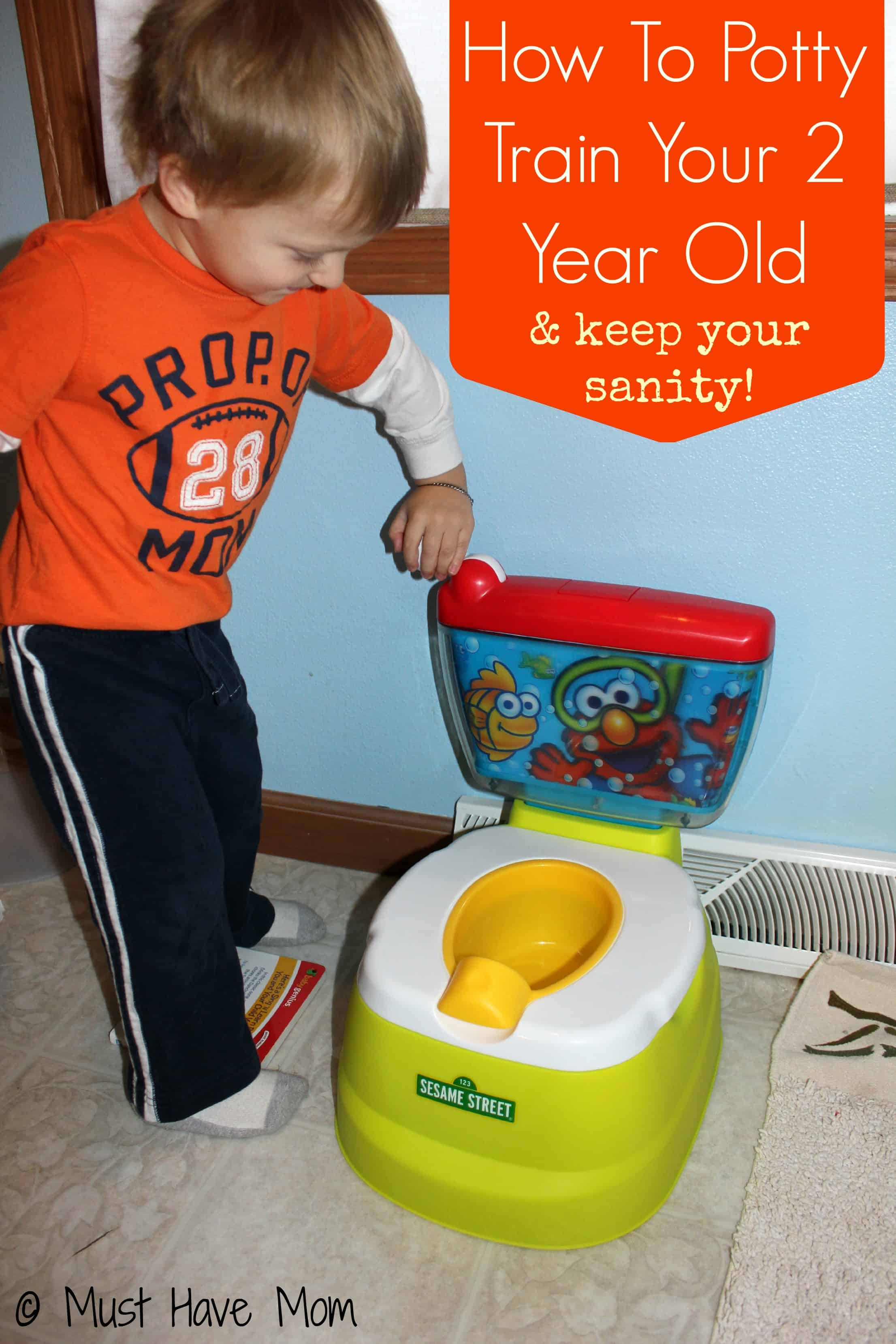 How To Potty Train A 4 Year Old Boy