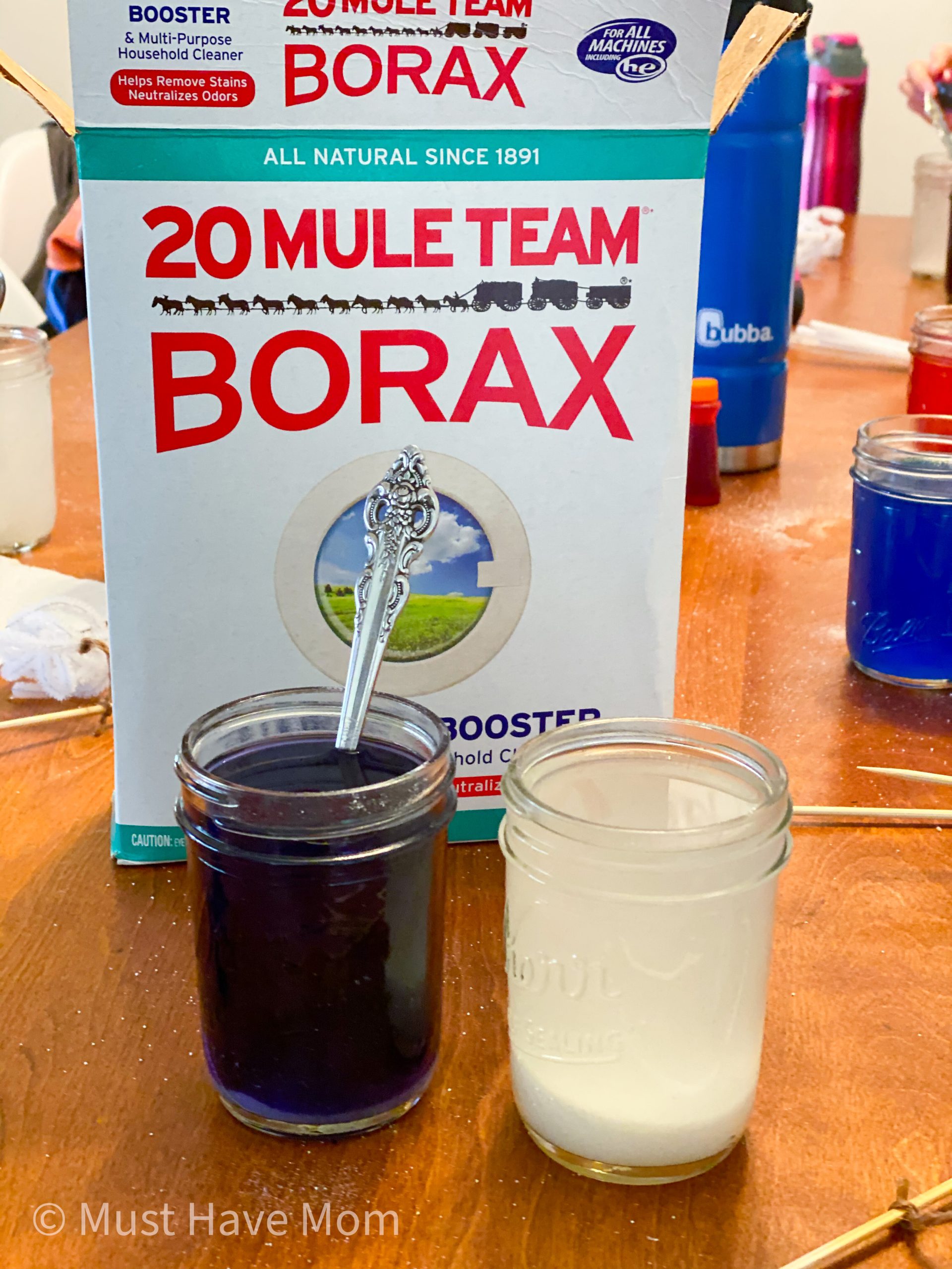 Grow Your Own Borax Crystals - Must Have Mom