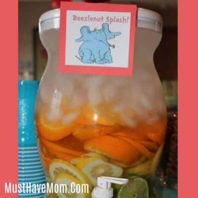 Dr Seuss Party | Beezlenut Splash Drink Recipe