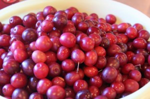 Wild Plum Jelly Recipe How To Can Your Own! - Must Have Mom