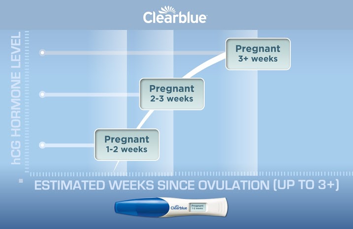 Clear Blue Ovulation Test Chart