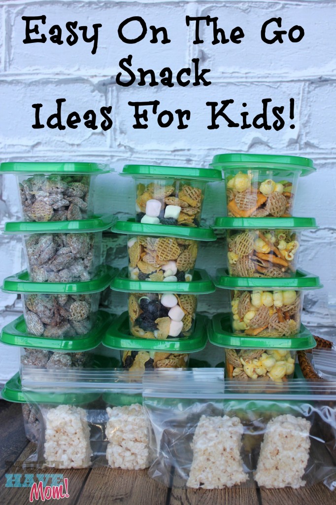 Easy On The Go Snack Ideas For Kids! Stock Your Pantry With Grab and Go Snack Packs