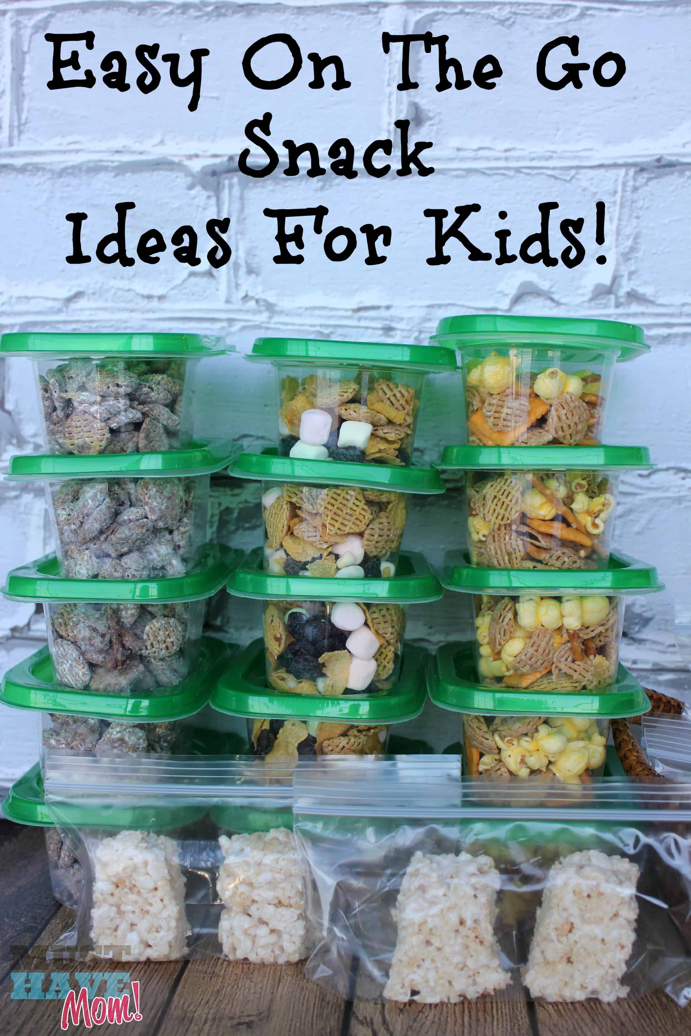 Easy On The Go Snack Ideas For Kids! Stock Your Pantry With Grab and Go Snack Packs