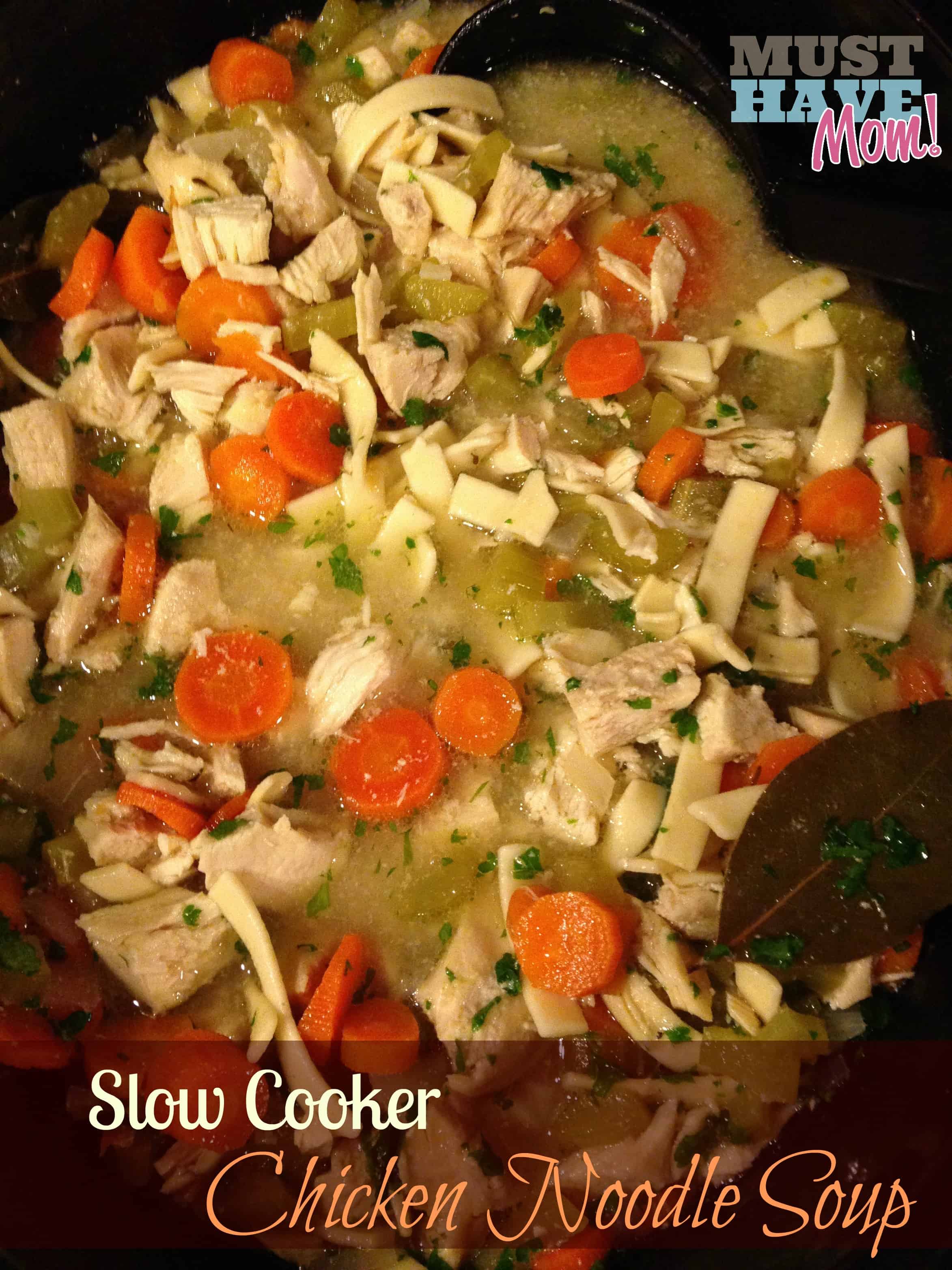 Slow Cooker Chicken Noodle Soup Recipe ~ Freezes Well Too!