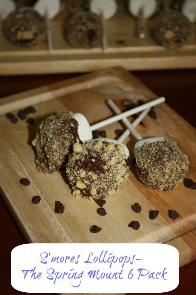 campout food smores lollipops