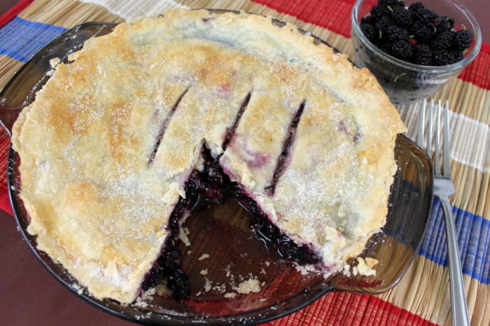 mulberry-pie