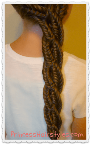 centipede braid