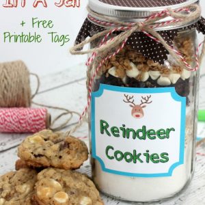 https://musthavemom.com/wp-content/uploads/2014/12/Reindeer-Cookies-In-A-Jar-Plus-Free-Printable-Tags-2-300x300.jpg