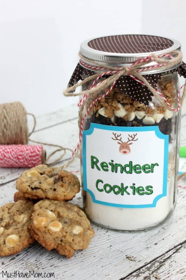 Best Christmas Cookies to Gift!