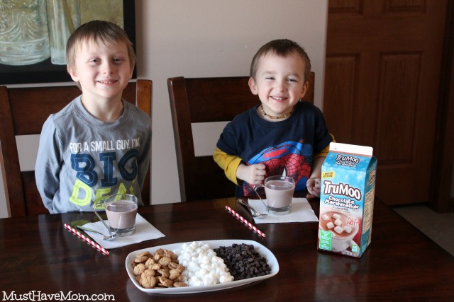 TruMoo Chocolate Marshmallow Milk & Hot Chocolate Bar