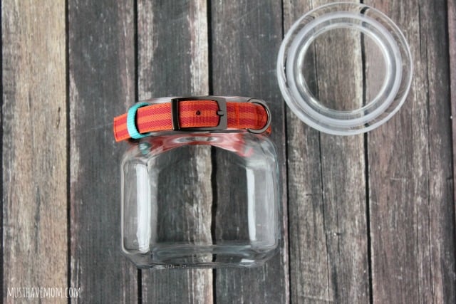 DIY Dog Treat Jar Place collar on neck of jar