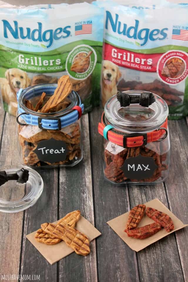 Dog Treat Jar DIY - Bird's Eye Meeple