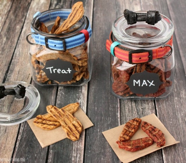 Modern dog shop treat jar