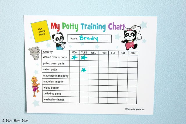 Homemade Potty Training Chart Ideas