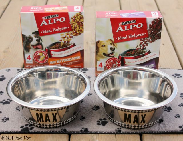 Easy DIY Personalized Dog Bowls! Makeover Your Dog’s Mealtime