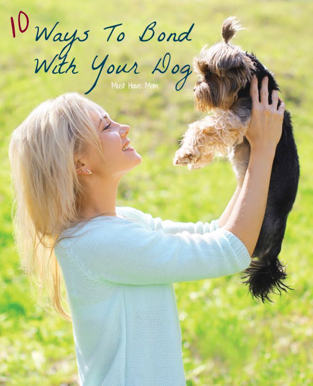 10 Ways To Bond With Your Dog