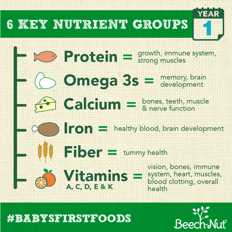 How to Get Your Fussy Baby to Eat - Beech-Nut