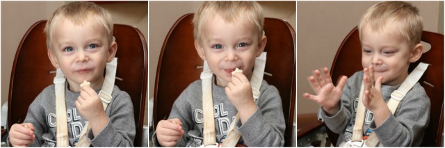 Mini PB&J Finger Foods perfect for toddlers to pick up and self feed! Great for learning to use that pincher grasp and bite size so they can easily chew them up!