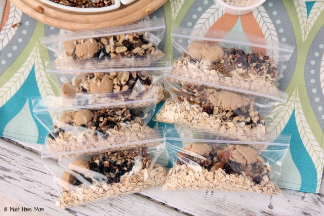 DIY Instant Oatmeal Packets With Ingredient Combinations