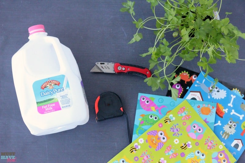 DIY Self Watering Milk Jug Planter Idea! Make your own self watering planter out of a milk jug. Upcycle and reuse your milk jug and get the kids involved! Milk jug gardening ideas!