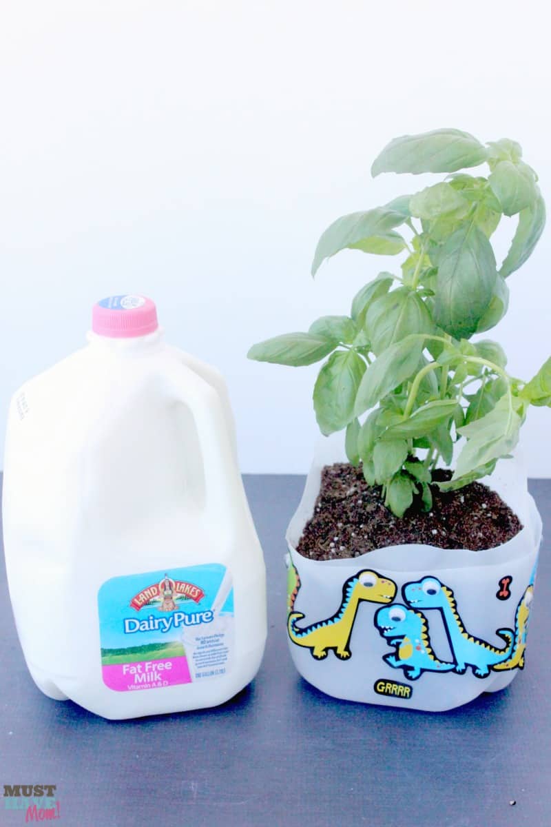 DIY Self Watering Milk Jug Planter Idea! Make your own self watering planter out of a milk jug. Upcycle and reuse your milk jug and get the kids involved! Milk jug gardening ideas!