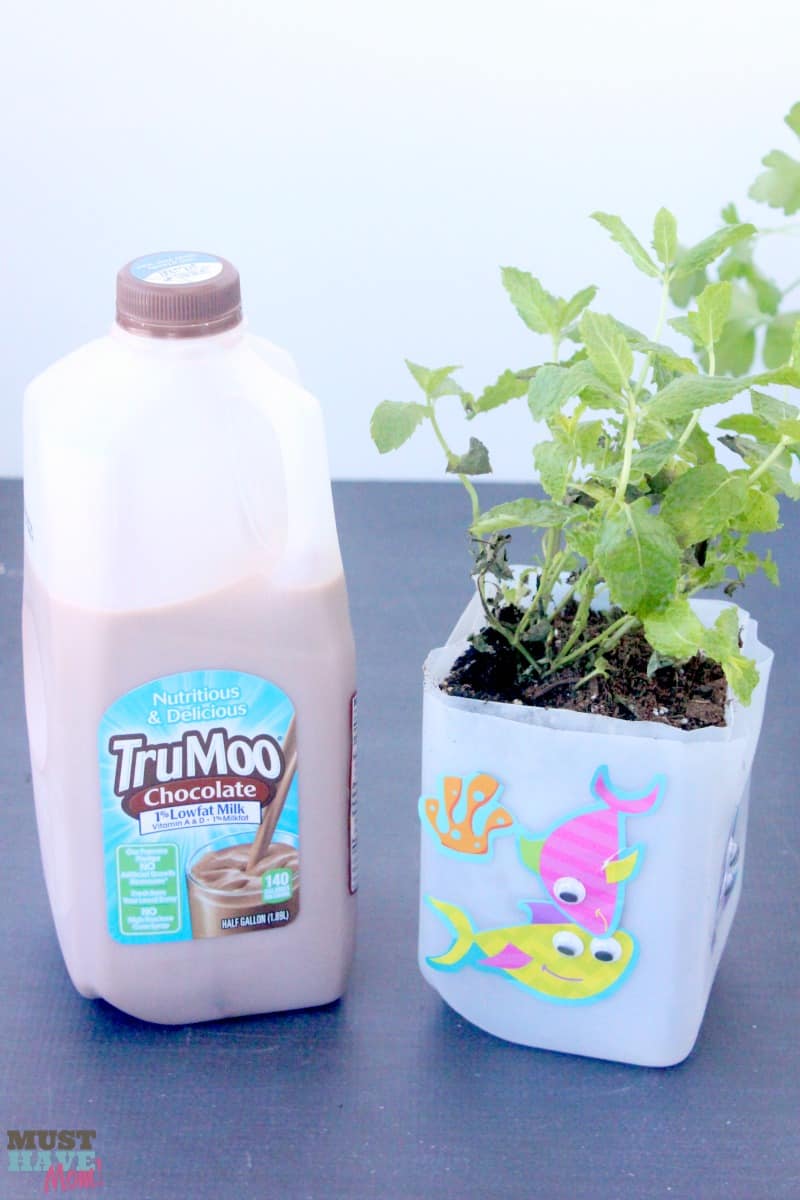 DIY Self Watering Milk Jug Planter Idea! Make your own self watering planter out of a milk jug. Upcycle and reuse your milk jug and get the kids involved! Milk jug gardening ideas!
