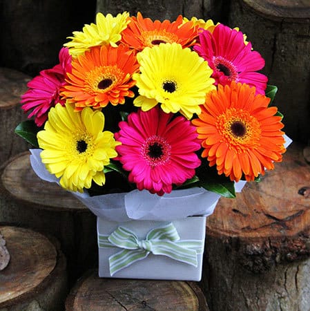 What You Should Know About Sending Flowers To Someone In Hospital Must Have Mom