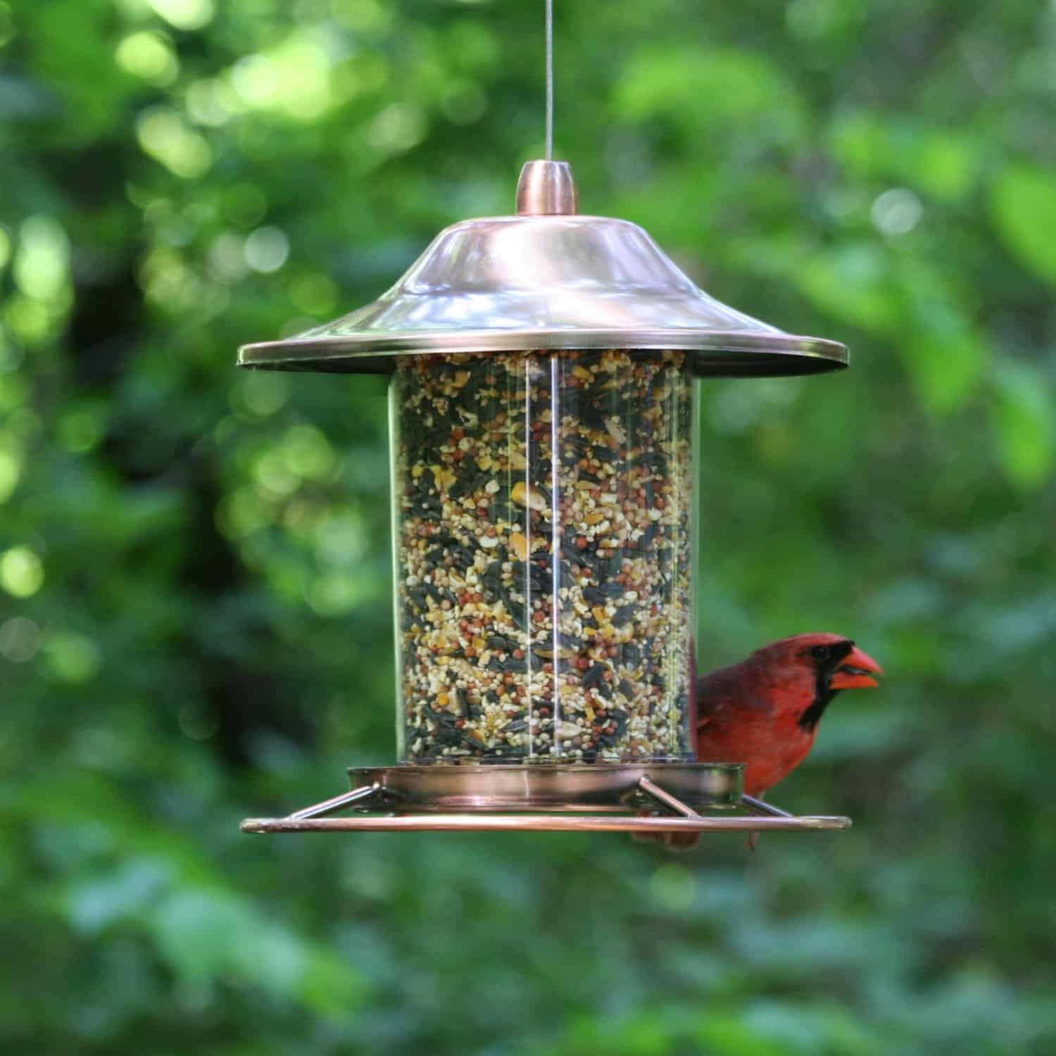 https://musthavemom.com/wp-content/uploads/2016/04/bird-feeder.jpg