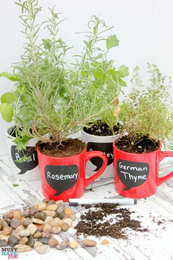 DIY Garden Ideas make your own coffee mug herb garden! This tutorial shows you what you need to do to have a windowsill herb garden on the cheap!