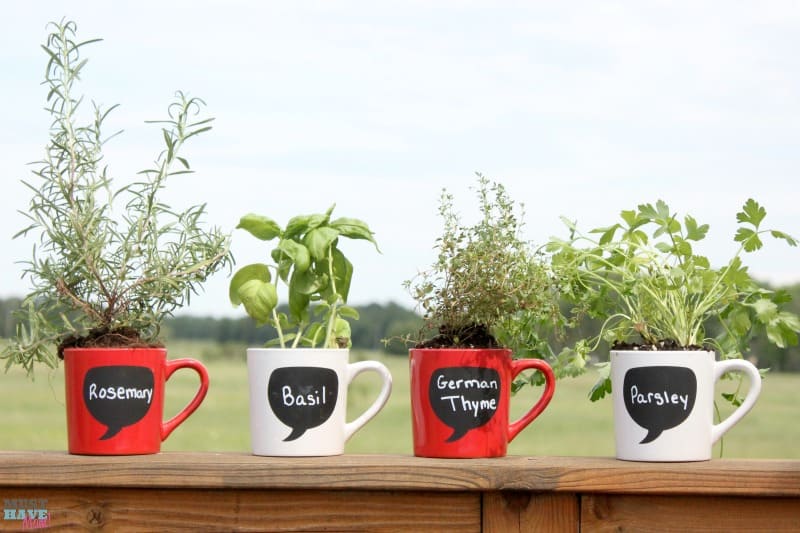 DIY Garden Ideas make your own coffee mug herb garden! This tutorial shows you what you need to do to have a windowsill herb garden on the cheap!