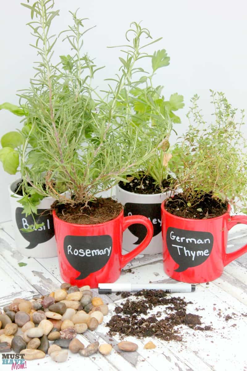 DIY Garden Ideas: Coffee Mug Herb Garden Tutorial Must Have Mom DIY Garden Ideas: Coffee Mug Herb Garden Tutorial Must Have Mom