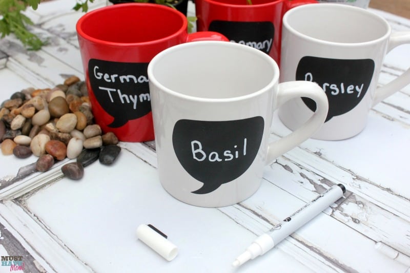 https://musthavemom.com/wp-content/uploads/2016/04/herb-garden-in-coffee-mugs-diy.jpg