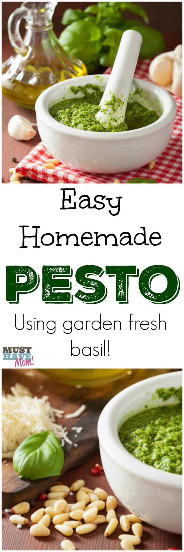 The best basil pesto recipe ever! Easy to make pesto using garden fresh basil, parmesan and garlic! So yummy! Use on pasta, spaghetti squash, bread, pizza and more!