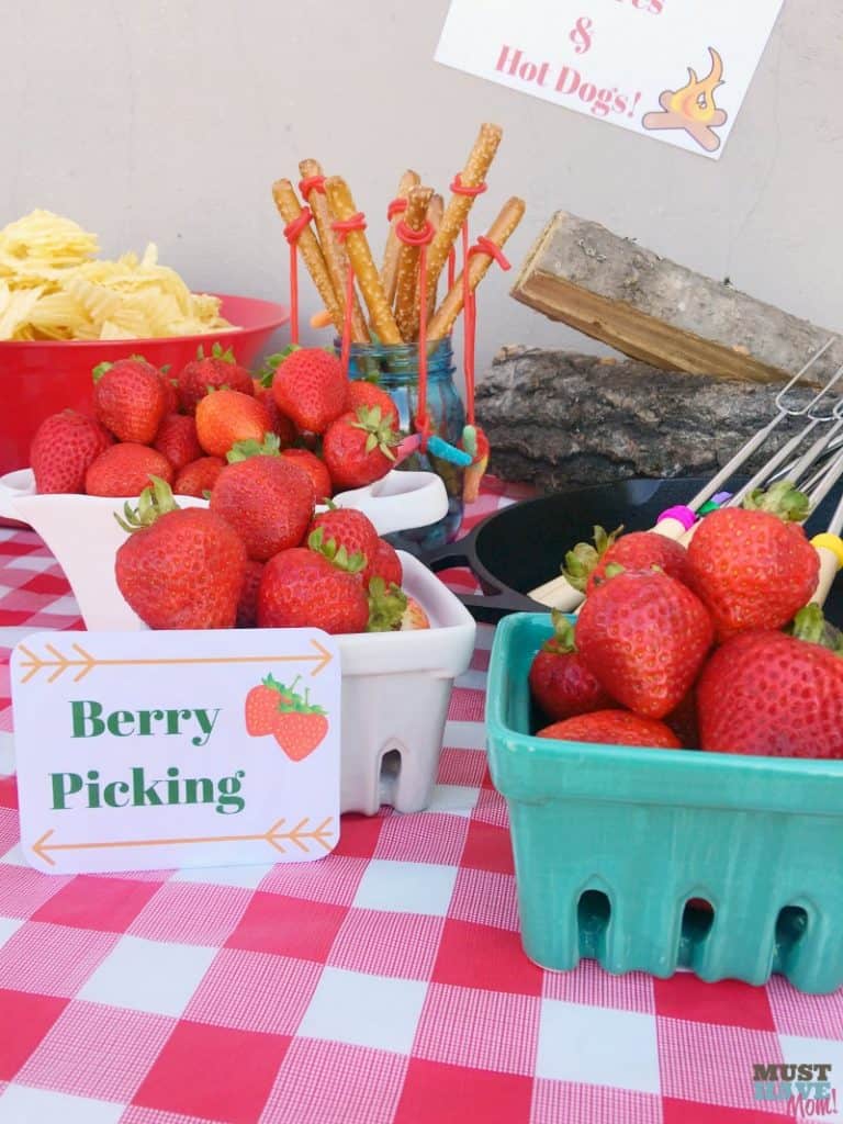 camping party berry picking food idea