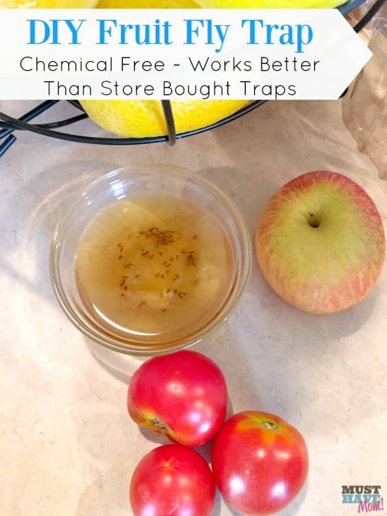 diy-fruit-fly-trap-chemical-free-works-better