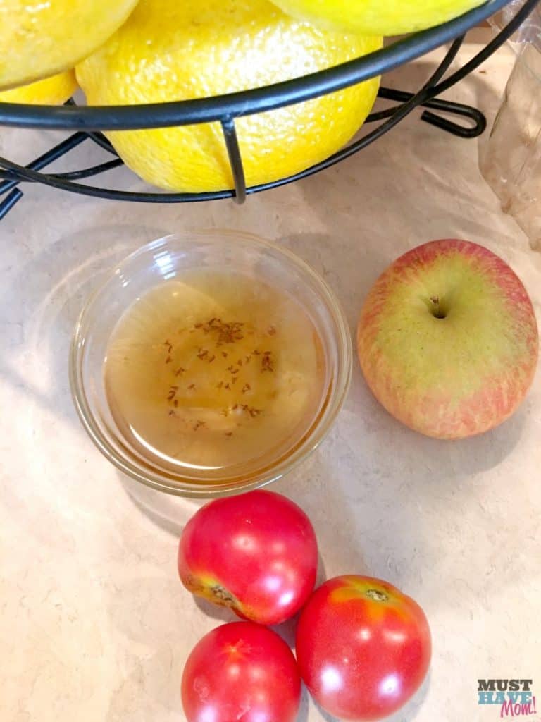 diy-fruit-fly-trap