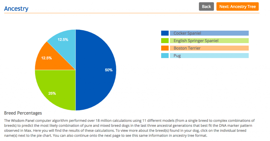 Curious what breeds make up your mutt? Here's an easy way to determine what breeds your dog is made up of! We did it and check out our results! 