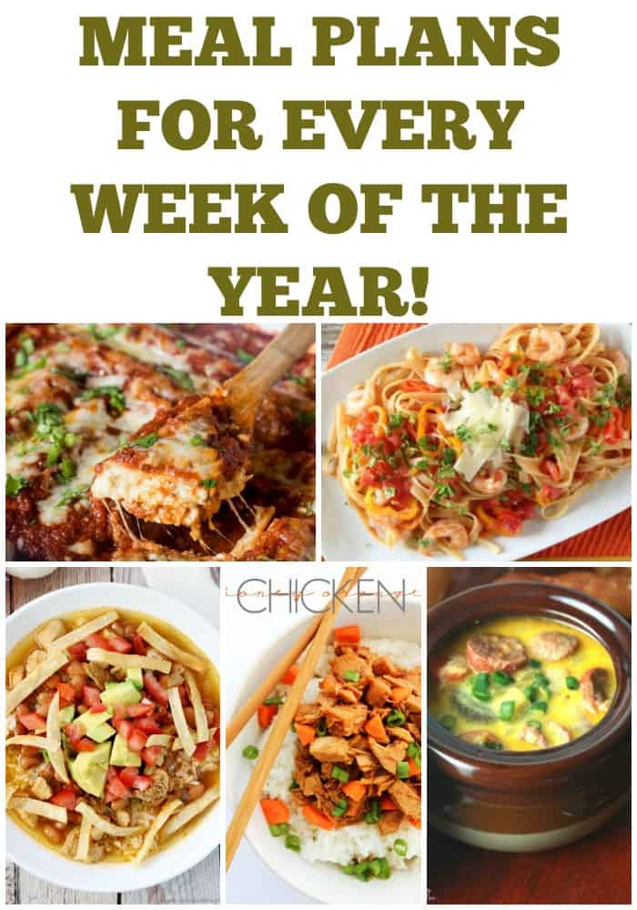 Meal Plans for Every Week of the Year – Week 28