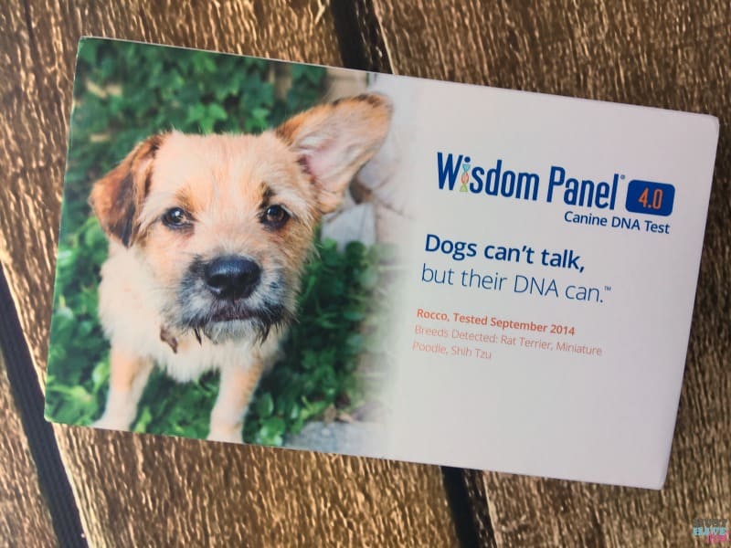 Wisdom panel 4.0 sale