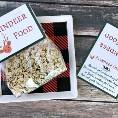 Santa’s Magic Reindeer Food with Free Printable Bag Topper & Poem