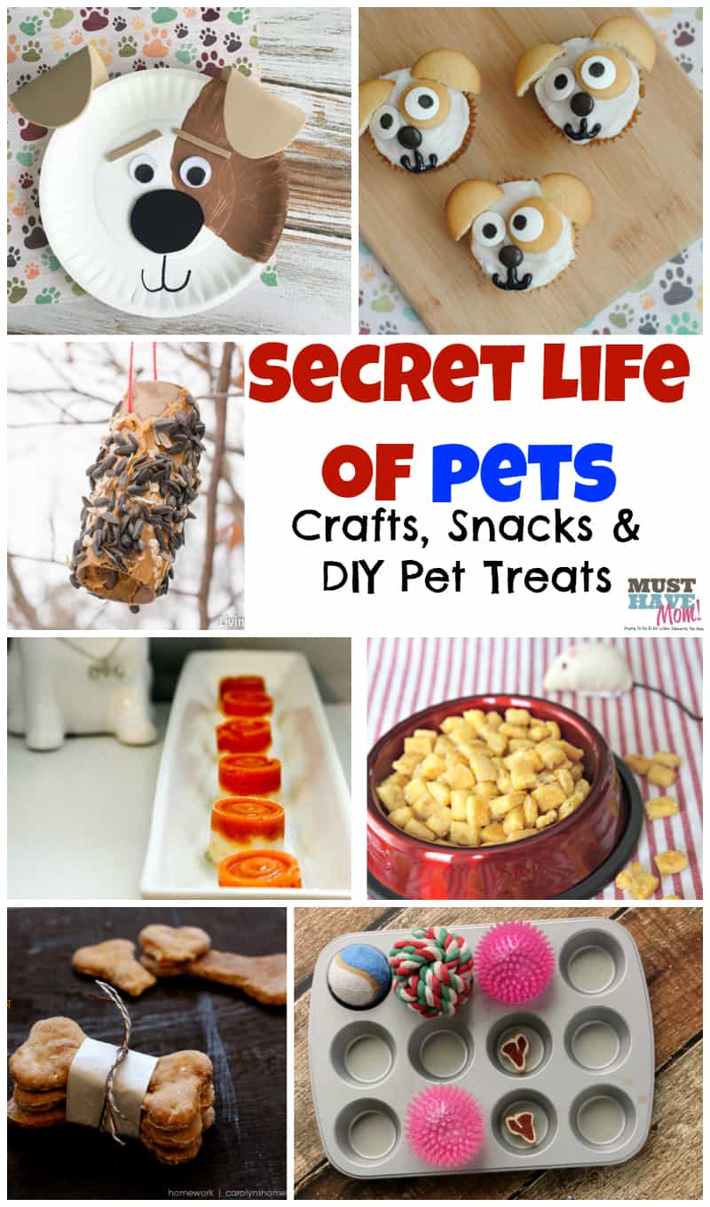 Pets activities and food ideas! Fun themed Secret Life of Pets ideas!