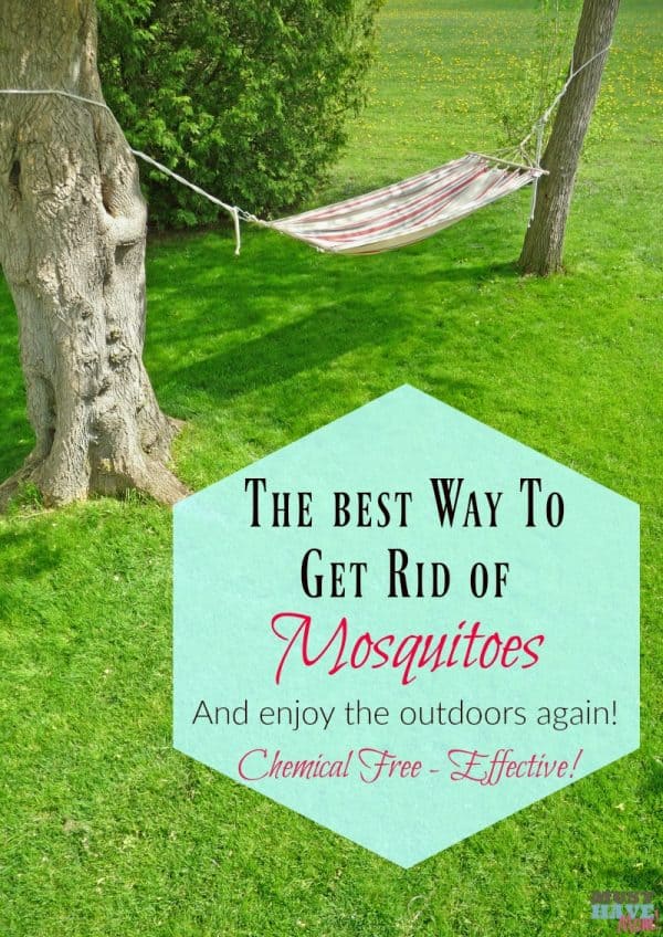 The best way to get rid of mosquitoes and enjoy the outdoors again 600x848