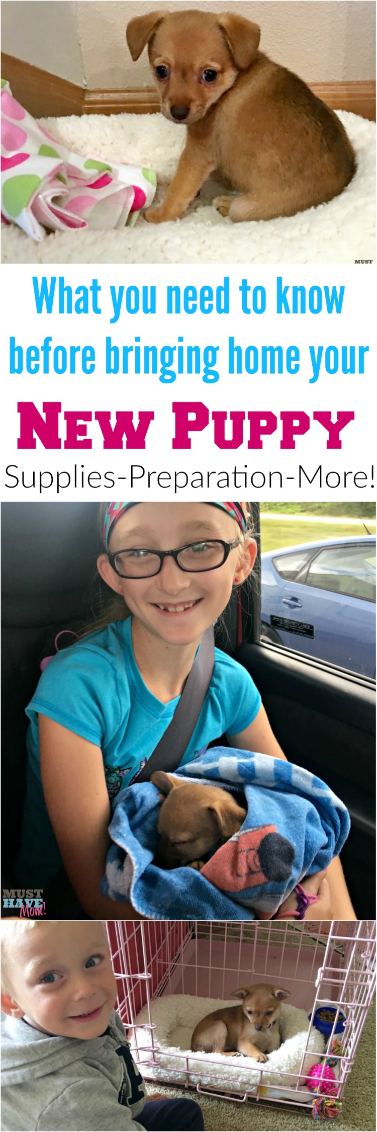 Ultimate guide to bringing home your new puppy! Everything you need to know before you bring home a puppy! Surprising supplies you might have forgot and other must haves you haven't even thought of! Pin for reference later!
