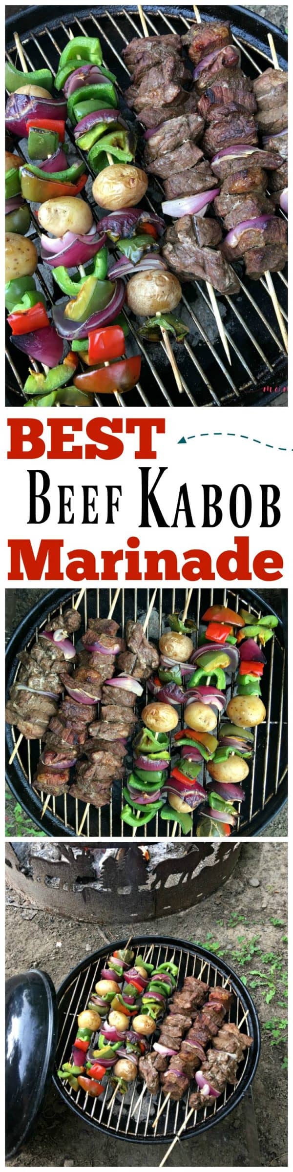 BEST Beef Kabob Marinade Recipe Must Have Mom