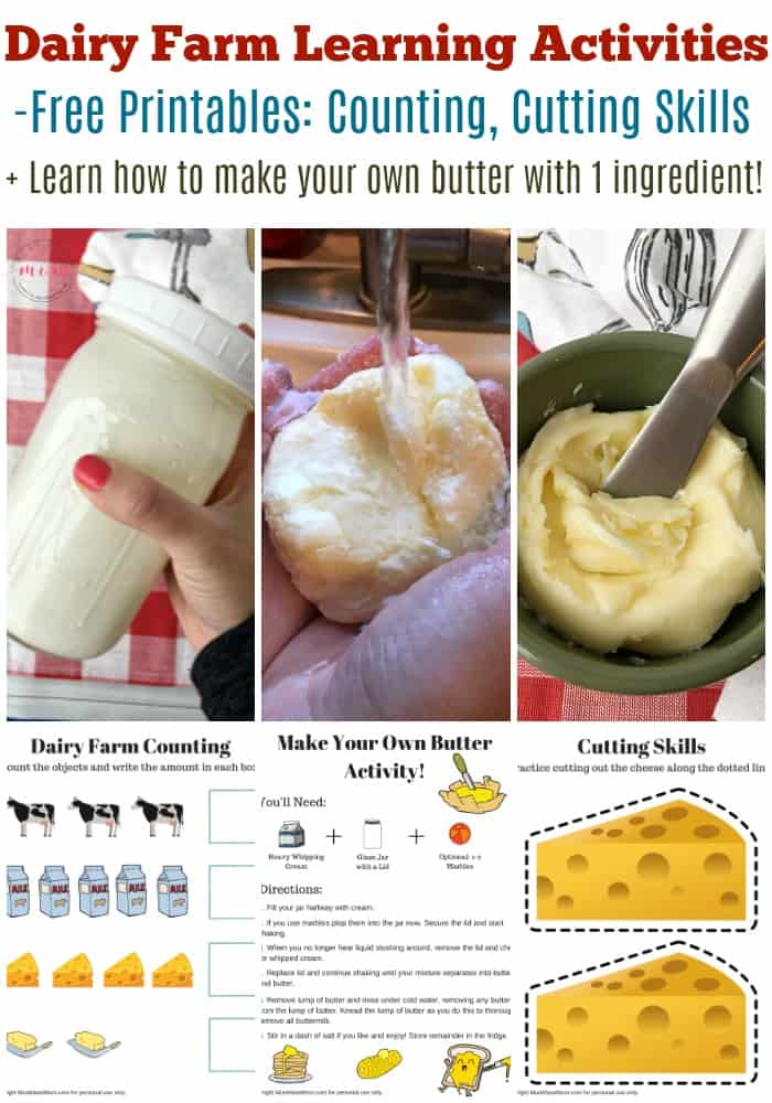 Free dairy farm activities for kids! Dairy farming counting printable, scissor skills cutting worksheet and make your own butter kids activity!