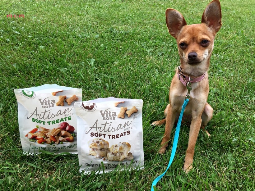 DIY Dog sign with treat jar and dog leash holder! Make this fun dog treat jar pet sign that is functional and adorable!