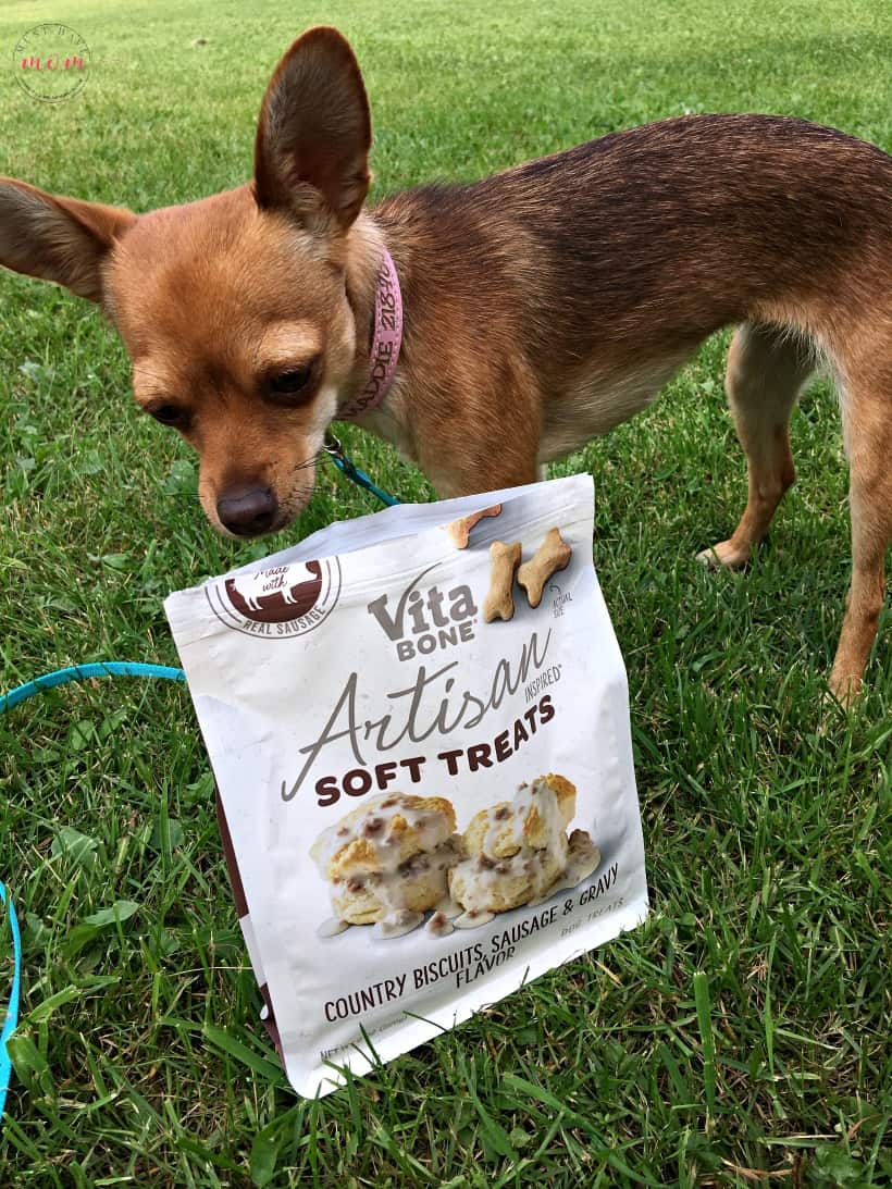 DIY Dog sign with treat jar and dog leash holder! Make this fun dog treat jar pet sign that is functional and adorable!