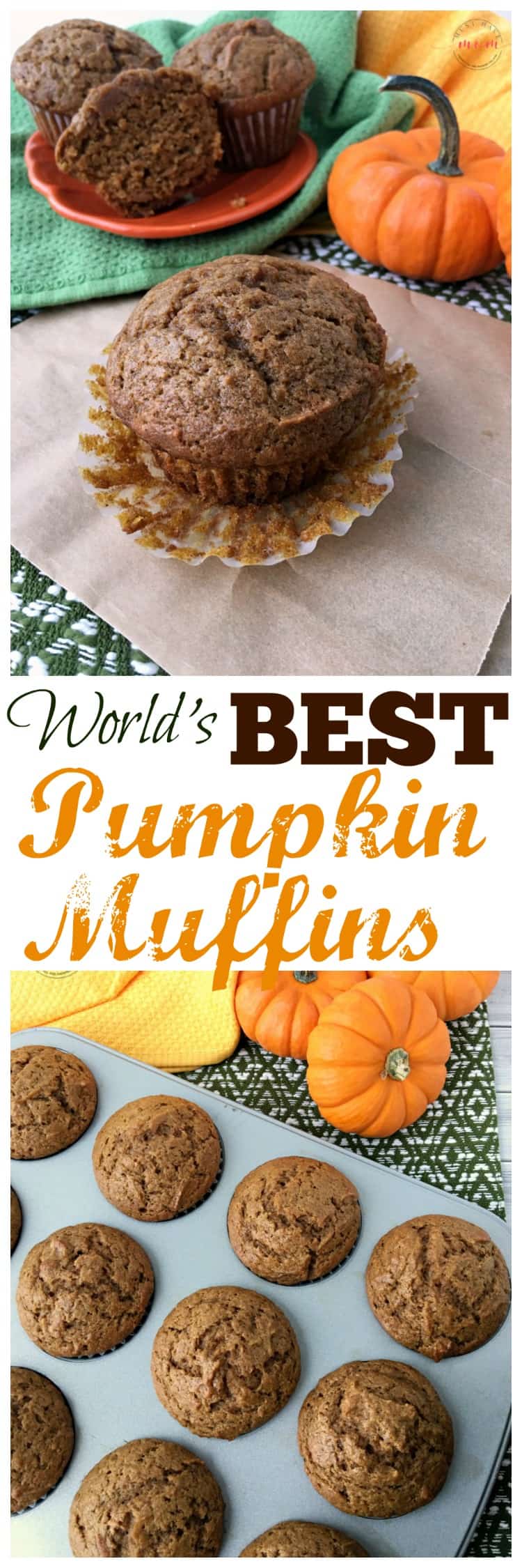 Try these healthy pumpkin muffins made with coconut oil and spices! One of my favorite pumpkin recipes in Fall!