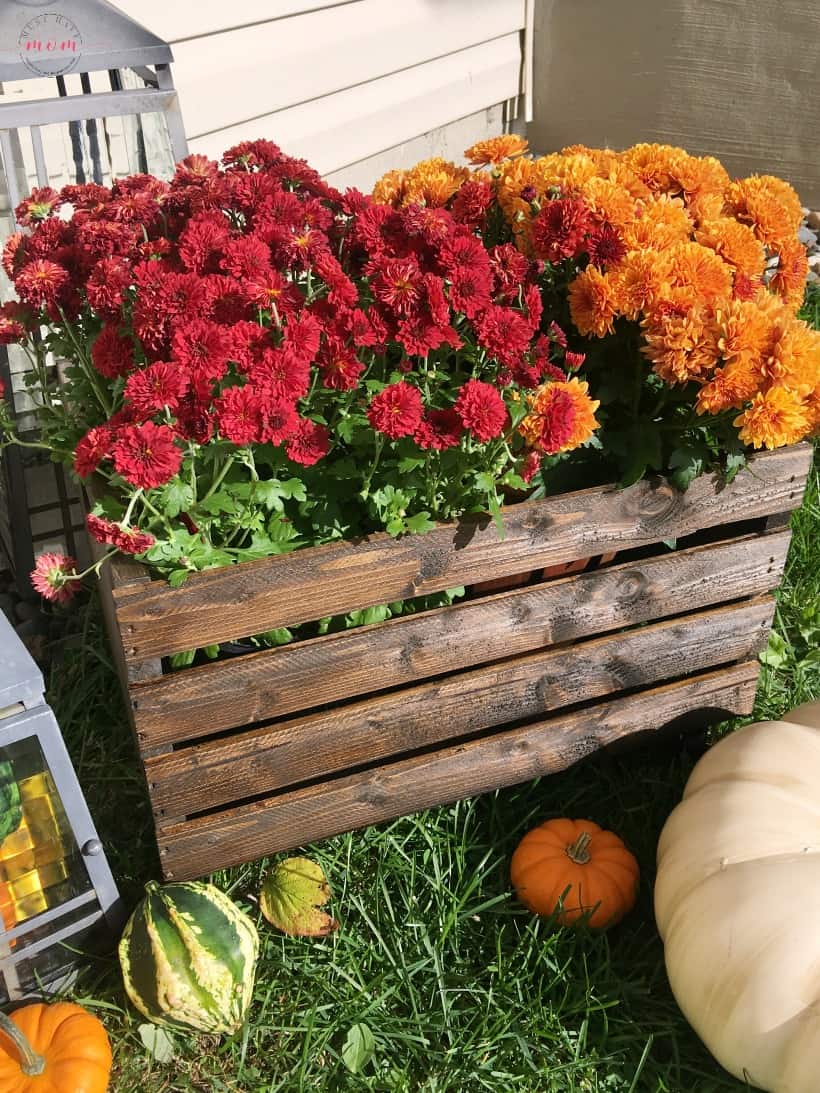 Easy DIY Fall Decor ideas for a stunning fall porch display! Try the DIY crate planter and farmhouse welcome sign!