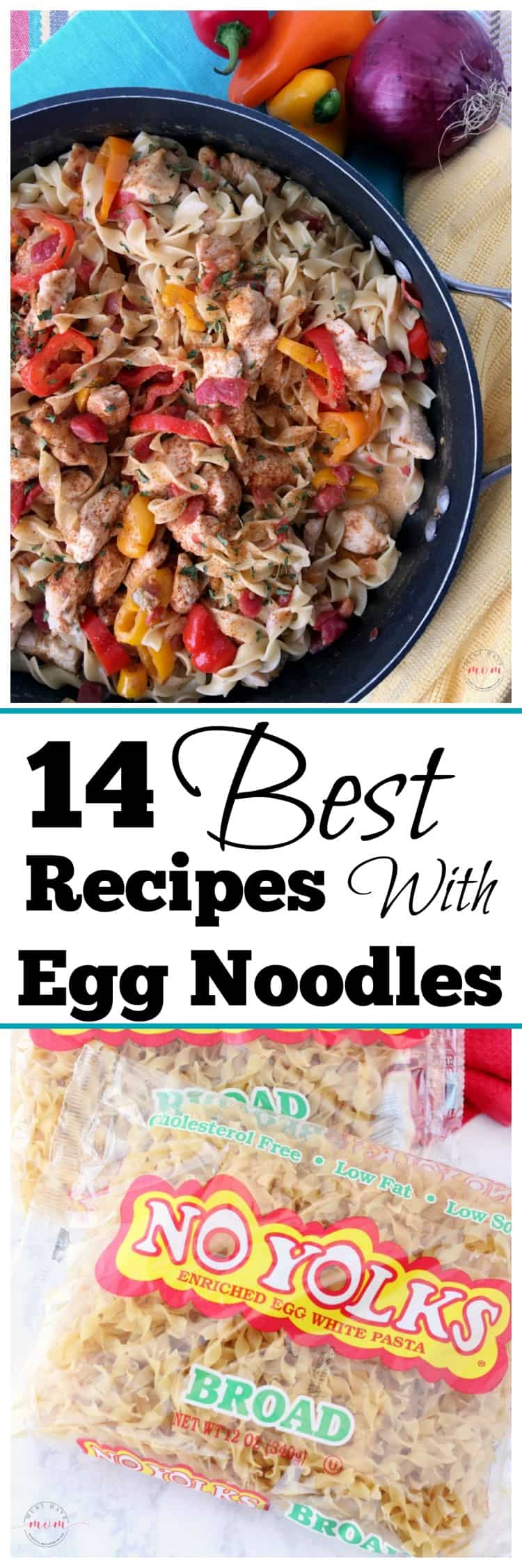 Best recipes with egg noodles! Find the perfect dinner idea or quick recipe here.